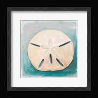 Sand Dollar on Teal Fine Art Print