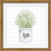 Farm Herbs II Fine Art Print