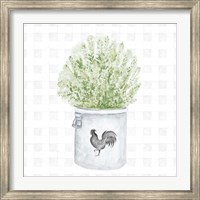 Farm Herbs II Fine Art Print