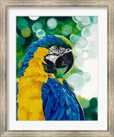 Brilliant Parrot Fine Art Print