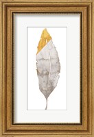 Gray and Gold Feather Fine Art Print