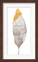 Gray and Gold Feather Fine Art Print