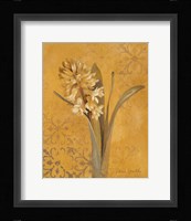 Hyacinth I Fine Art Print
