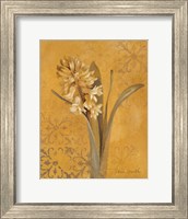 Hyacinth I Fine Art Print