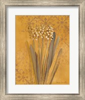 Hyacinth II Fine Art Print