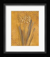 Hyacinth II Fine Art Print