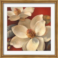 Magnolia Passion I Fine Art Print