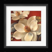 Magnolia Passion I Framed Print