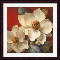 Magnolia Passion II Fine Art Print
