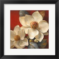 Magnolia Passion II Framed Print