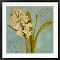 Hyacinth on Teal I Fine Art Print