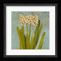 Hyacinth on Teal II Fine Art Print