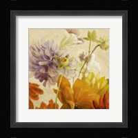 Early Bloomers II Framed Print