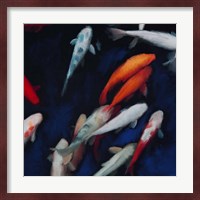 Koi Fine Art Print