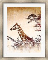 Safari Giraffe I Fine Art Print