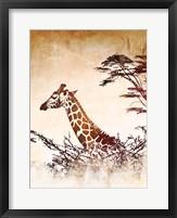 Safari Giraffe I Fine Art Print