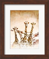 Safari Giraffe II Fine Art Print