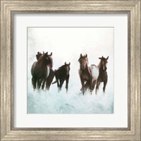 Horses Running through the Surf Fine Art Print