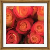 Peach Roses Fine Art Print