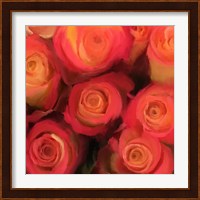 Peach Roses Fine Art Print