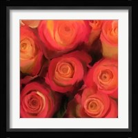 Peach Roses Fine Art Print