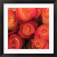 Peach Roses Fine Art Print