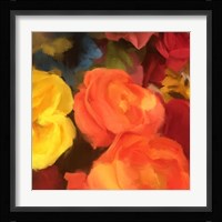 Rose Blooms Fine Art Print