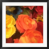 Rose Blooms Fine Art Print