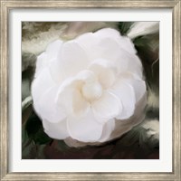 White Flower Fine Art Print