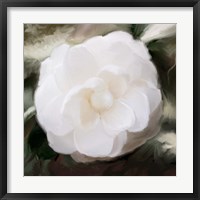 White Flower Fine Art Print