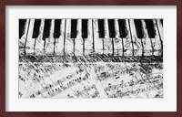 Black & White Piano Keys Fine Art Print