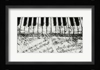 Black & White Piano Keys Fine Art Print