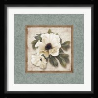 Silversage Flower I Framed Print