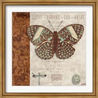 Butterfly on Display I Fine Art Print