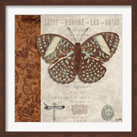 Butterfly on Display I Fine Art Print