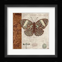 Butterfly on Display I Framed Print