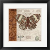 Butterfly on Display I Fine Art Print