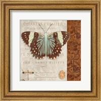 Butterfly on Display II Fine Art Print