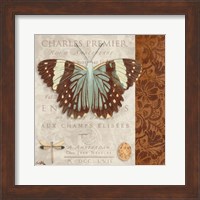 Butterfly on Display II Fine Art Print