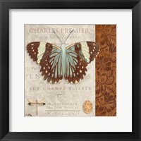 Butterfly on Display II Framed Print