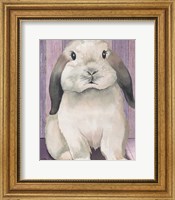 Bunny I Fine Art Print