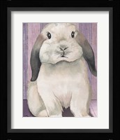 Bunny I Framed Print