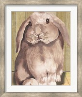 Bunny II Fine Art Print
