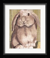 Bunny II Framed Print