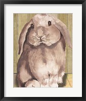 Bunny II Framed Print