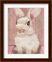 Bunny III Fine Art Print