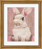 Bunny III Fine Art Print