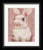 Bunny III Framed Print