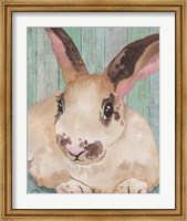 Bunny IV Fine Art Print