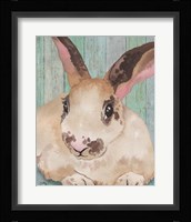 Bunny IV Framed Print